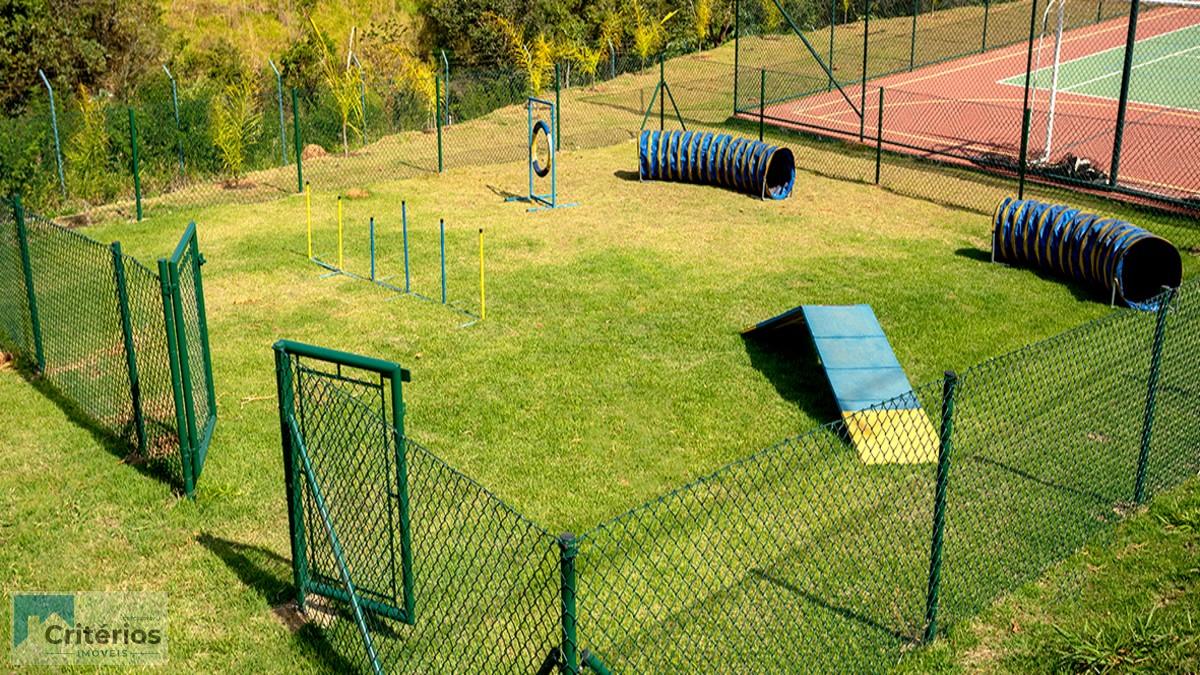 Terreno, 250 m² - Foto 11